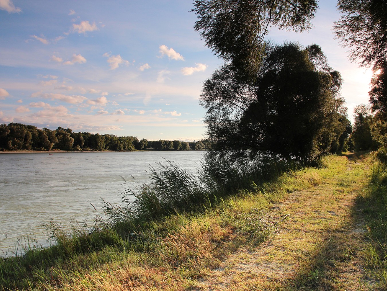 Nationalpark-Donau-Auen-Schoenau-1.jpg