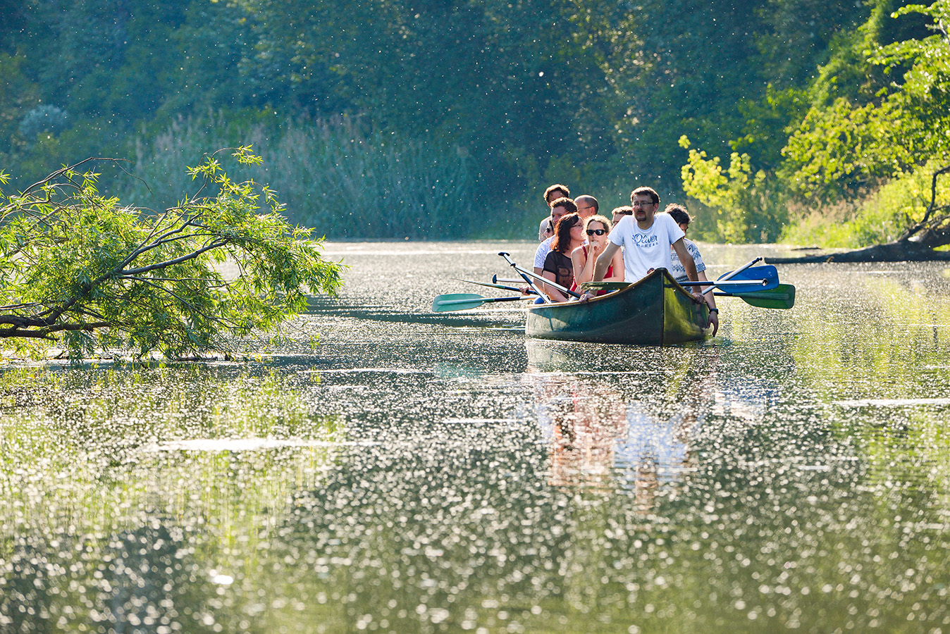 Nationalpark-Donau-Auen-Exkursionen-Boot-Kanufahrt,Fiala_W.jpg