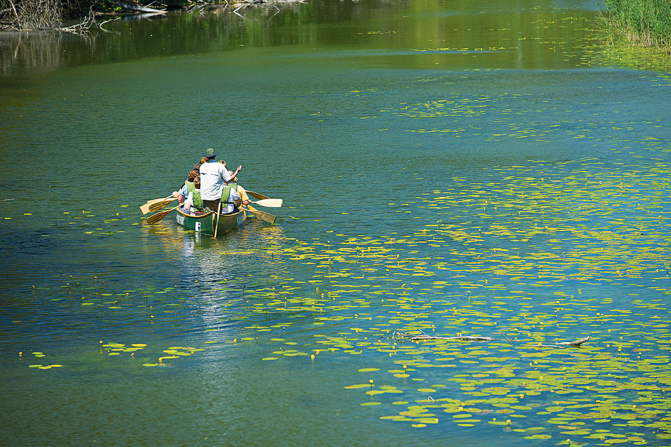 Nationalpark-Donau-Auen-Exkursionen-Boot-Kanufahrt,KovacsB-1.jpg