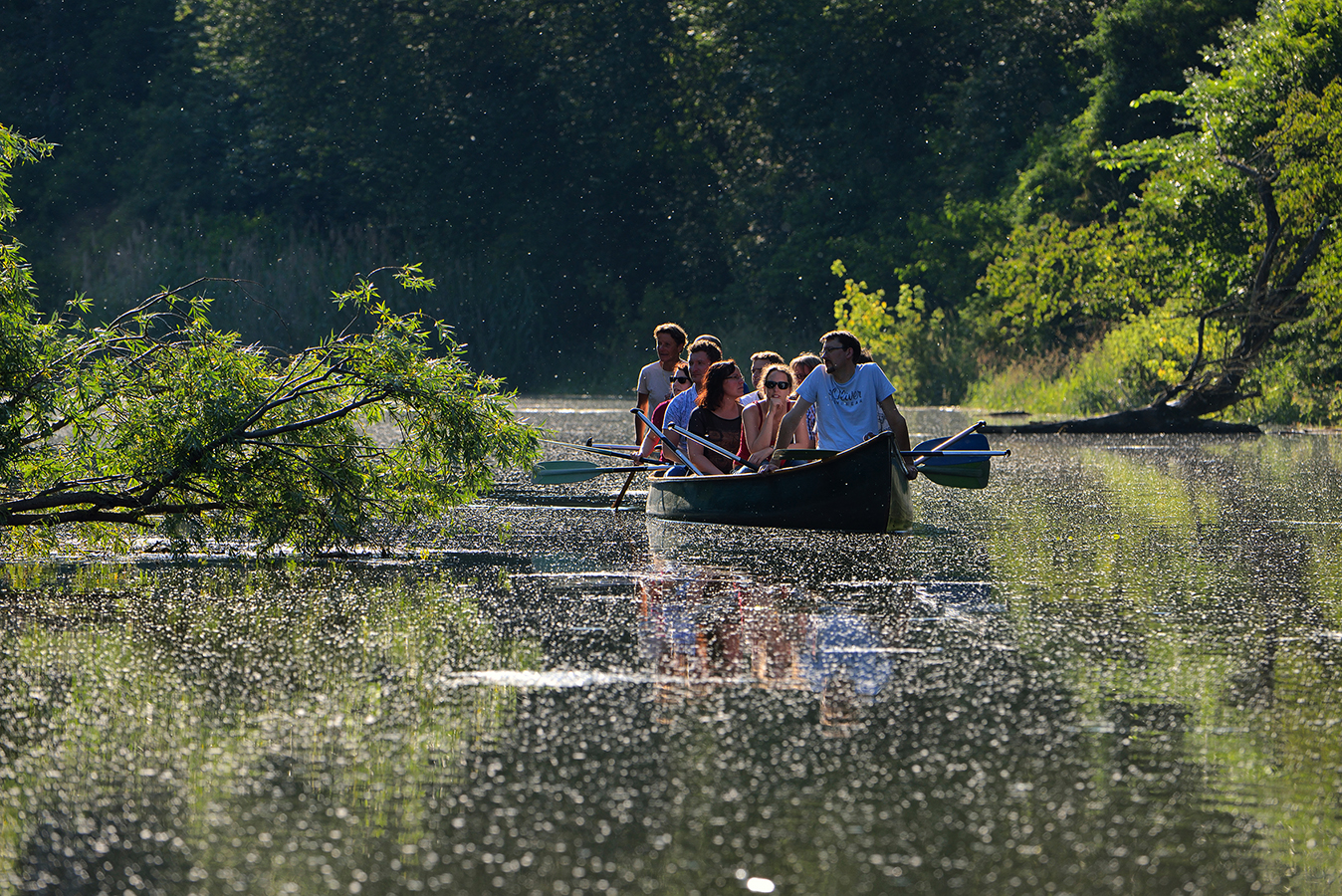 Nationalpark-Donau-Auen-Kanu-halbtag,-Fiala.jpg