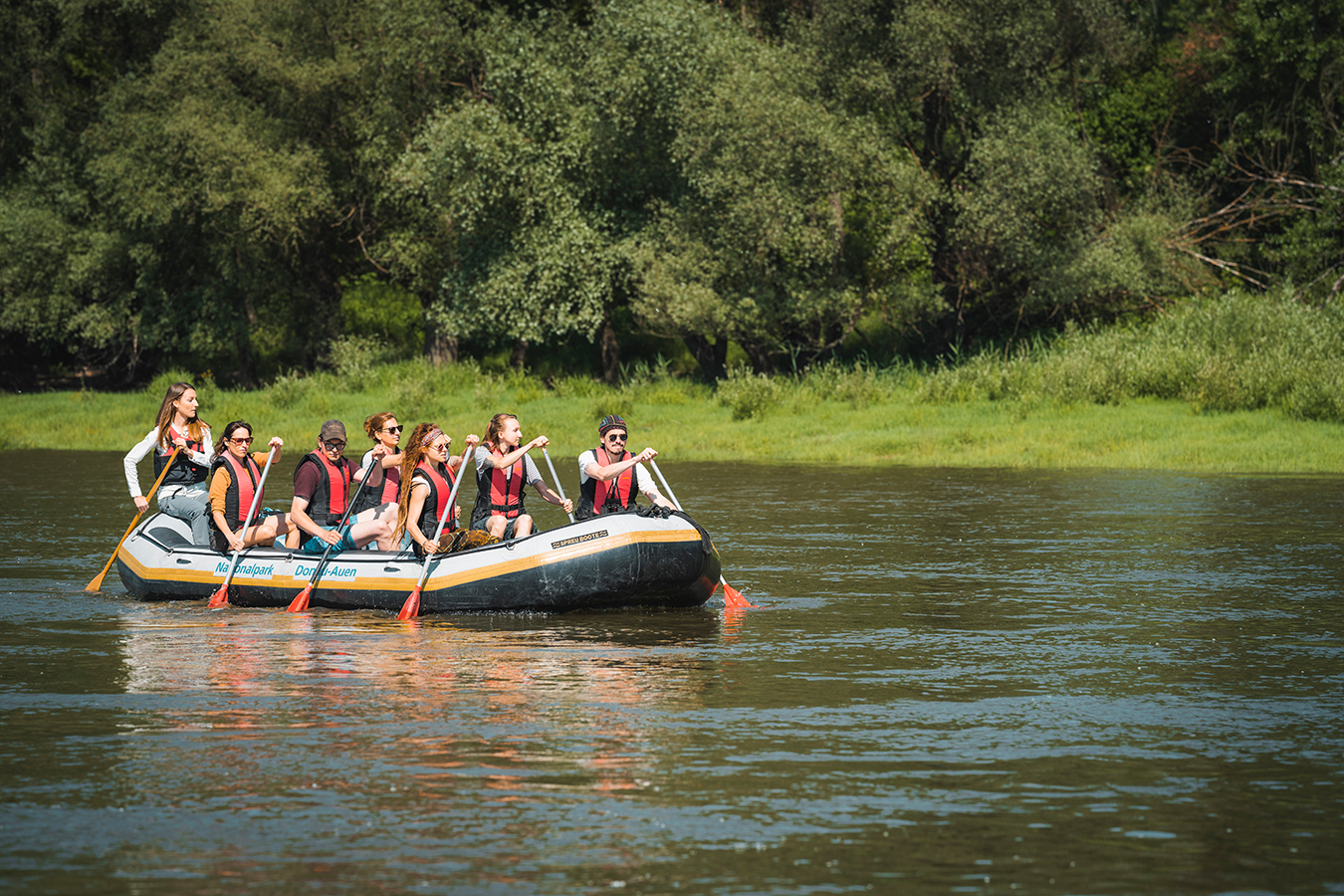 nationalpark-donau-auen-donauwelle1.jpg