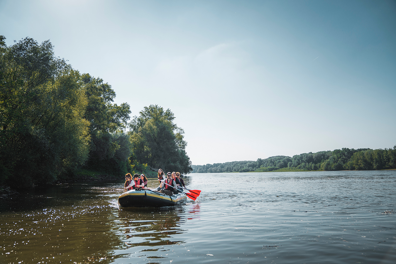 nationalpark-donau-auen-donauwelle2.jpg
