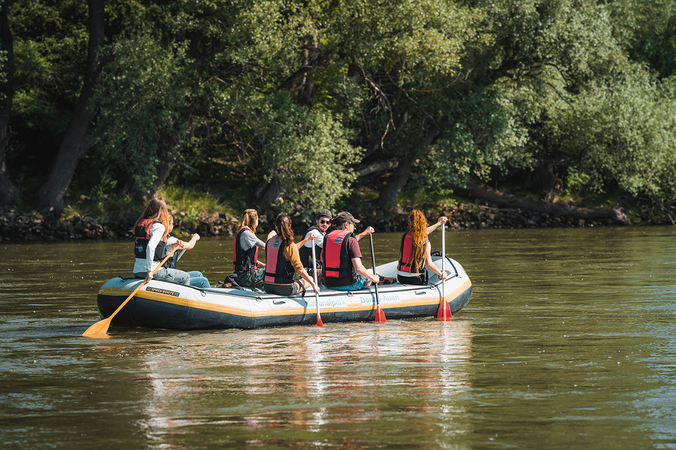 nationalpark-donau-auen-flussbergauwald.jpg