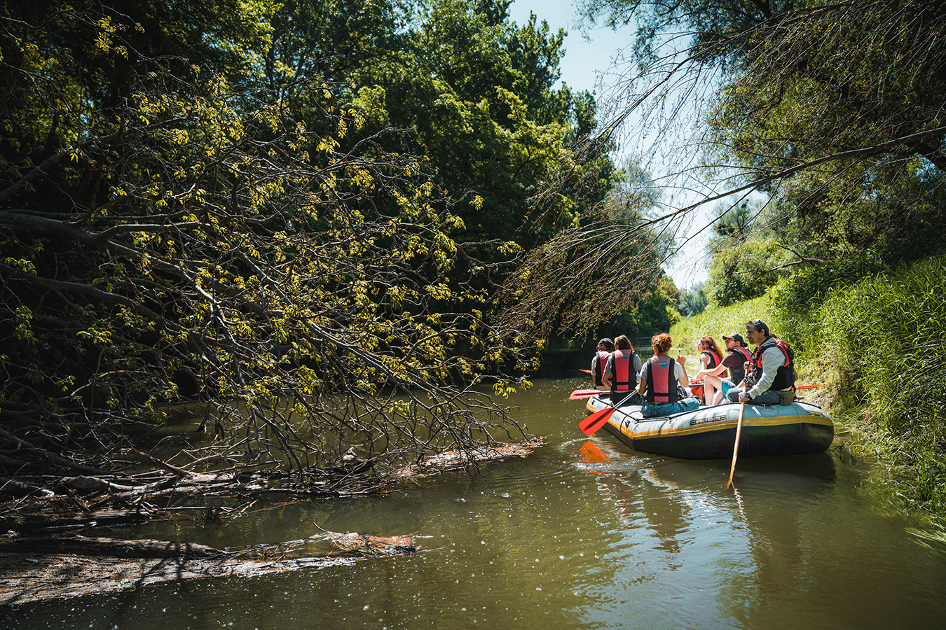 nationalpark-donau-auen-kombiorth.jpg
