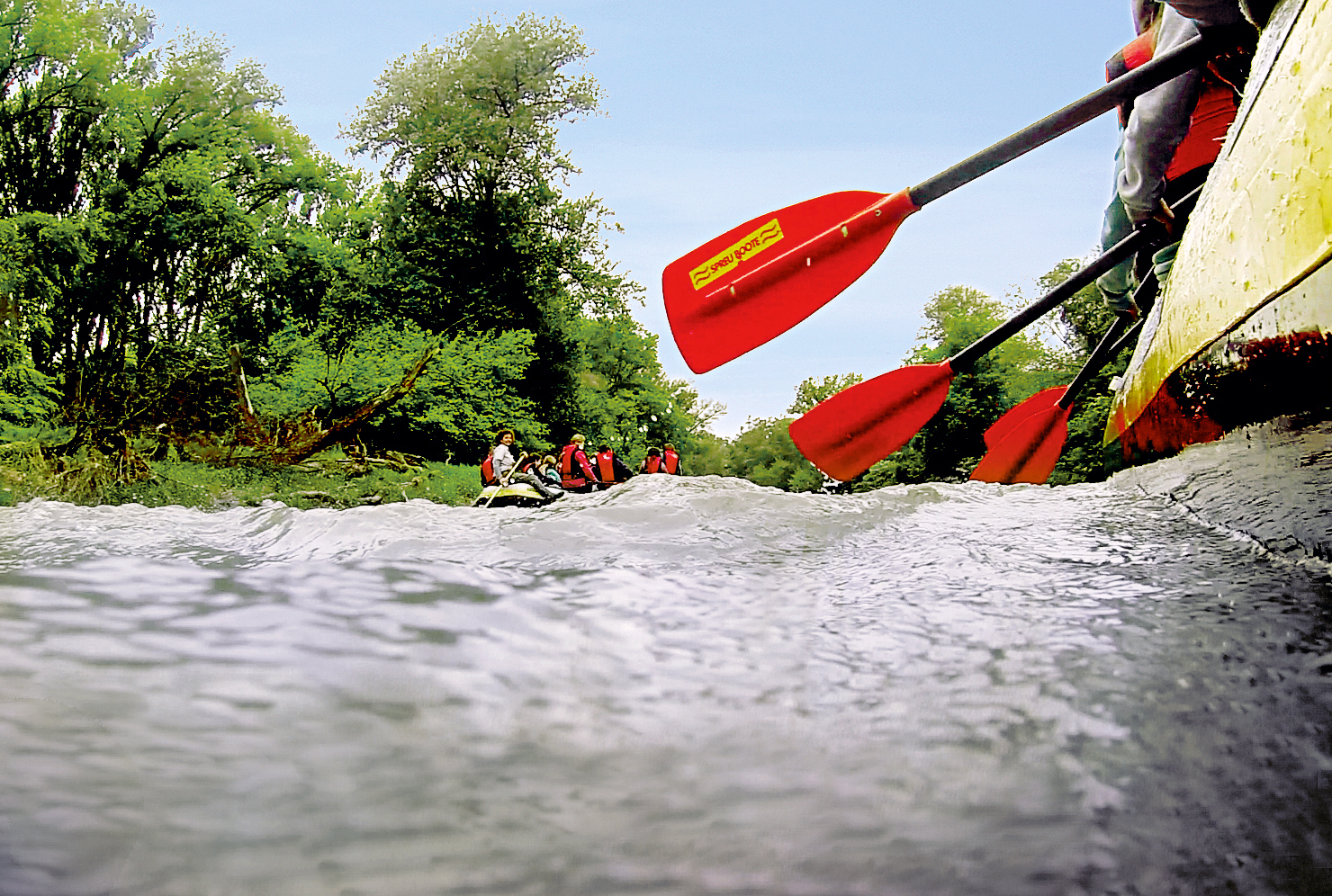 nationalpark-donau-auen-schulen-stopferl-hbg,-tanzer.jpg