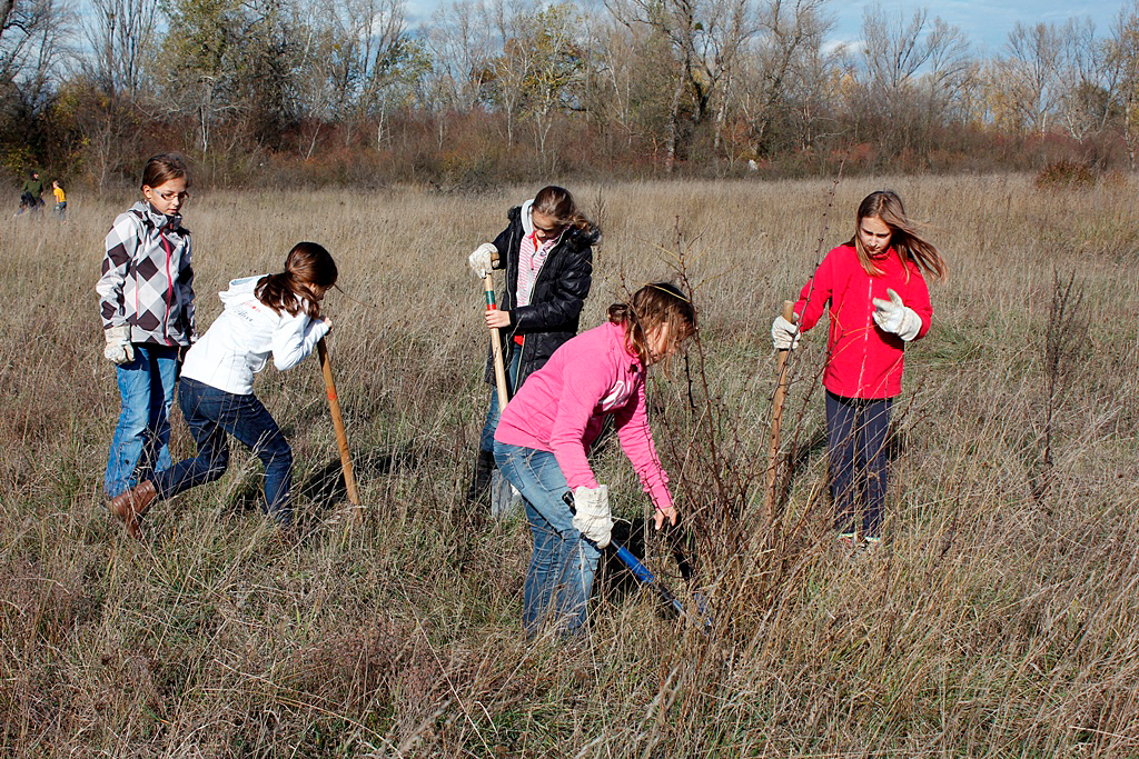 nationalpark-donau-auen-schulen-heisslandenpflege,-ma49.JPG