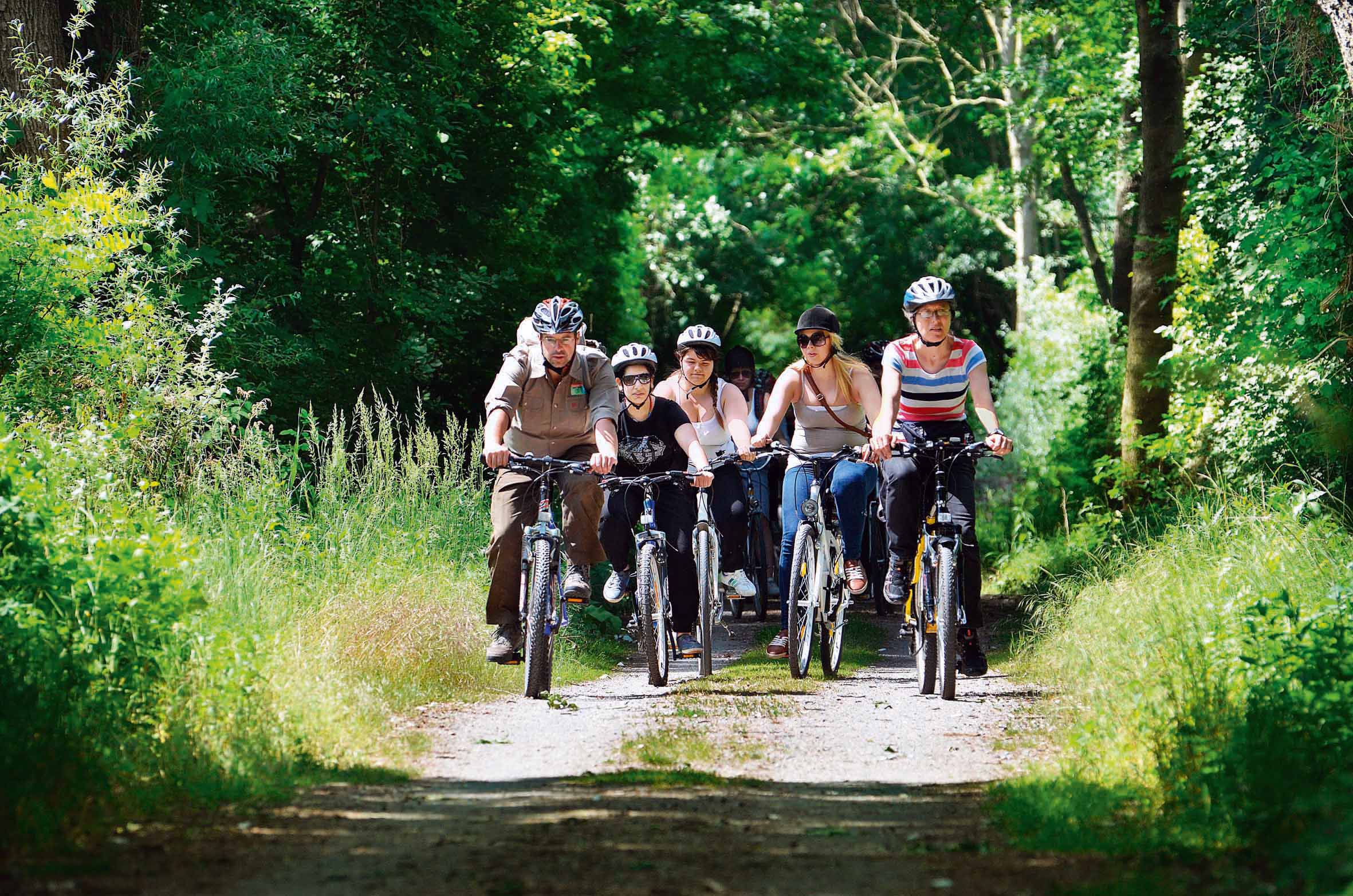 nationalpark-donau-auen-schulen-rad-lobau,-ma49.jpg