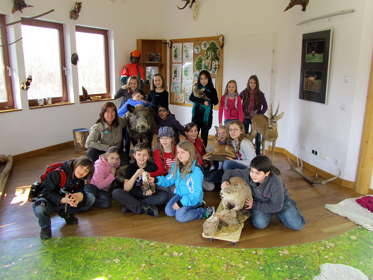 nationalpark-donau-auen-schulen-waldschule,-ma49.JPG