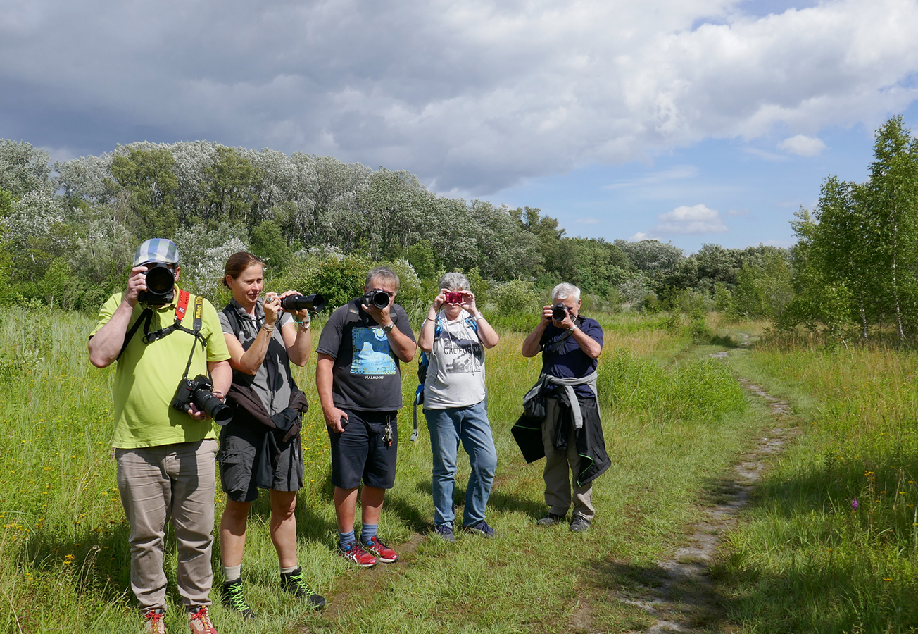 Nationalpark-Donau-Auen-Fotokurse-Lobau.JPG