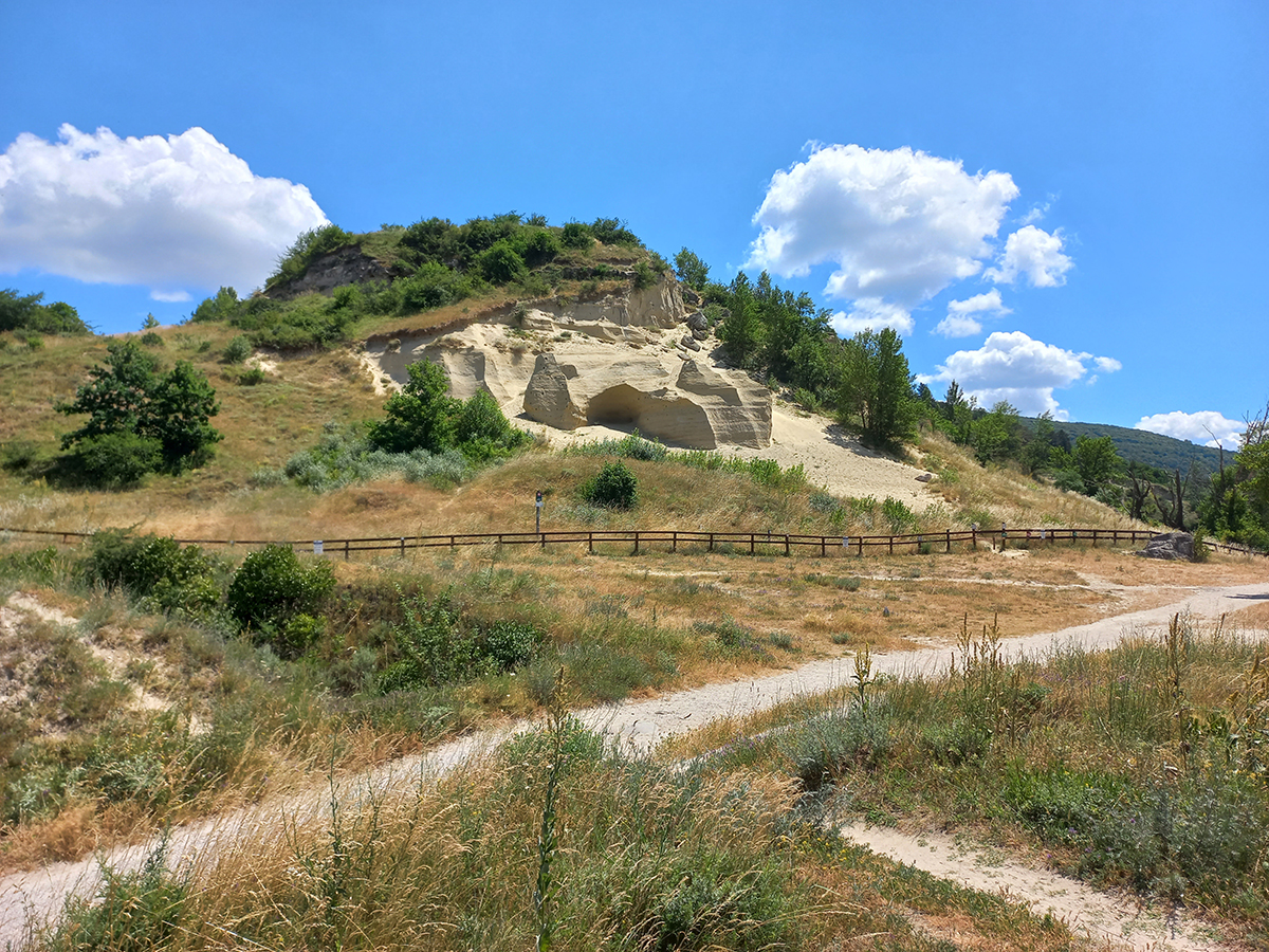 Nationalpark-Donau-Auen-Marchtour.jpg