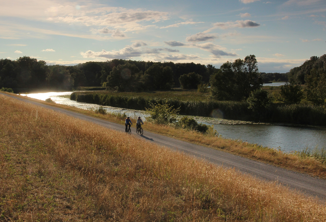 Nationalpark-Donau-Auen-Regeln_Rad.jpg