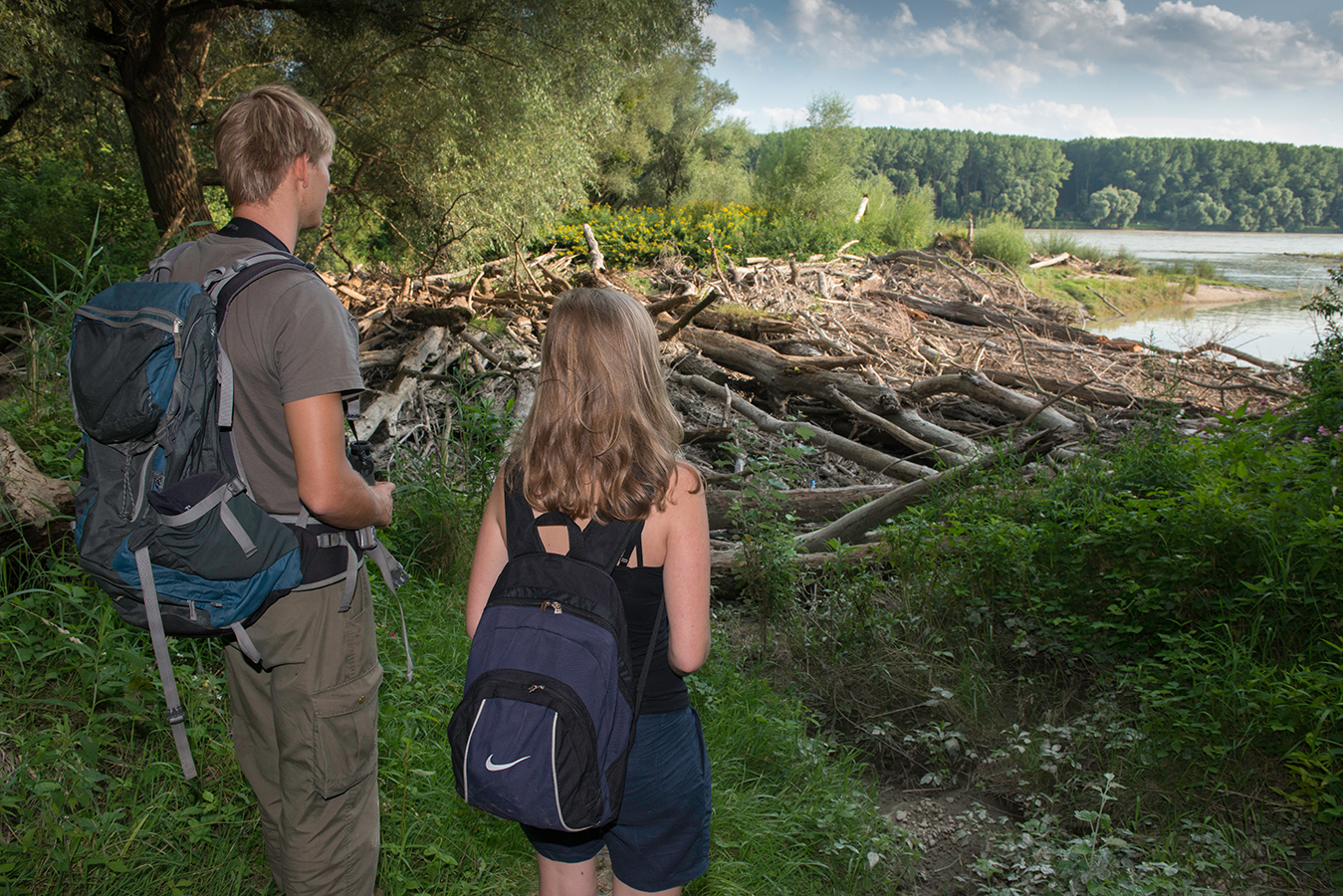 Nationalpark-Donau-Auen-Regeln_Wandern.jpg