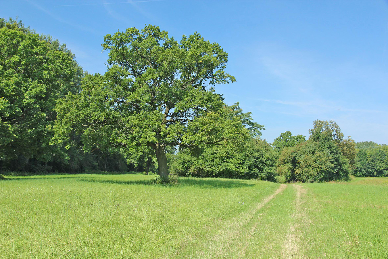 Nationalpark-Donau-Auen-Eckartsau-1.jpg