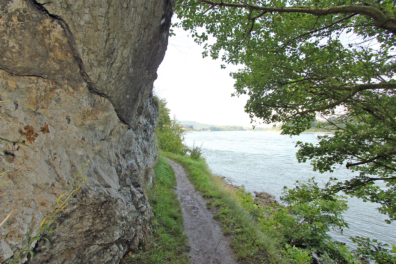 Nationalpark-Donau-Auen-Hainburg-1.jpg