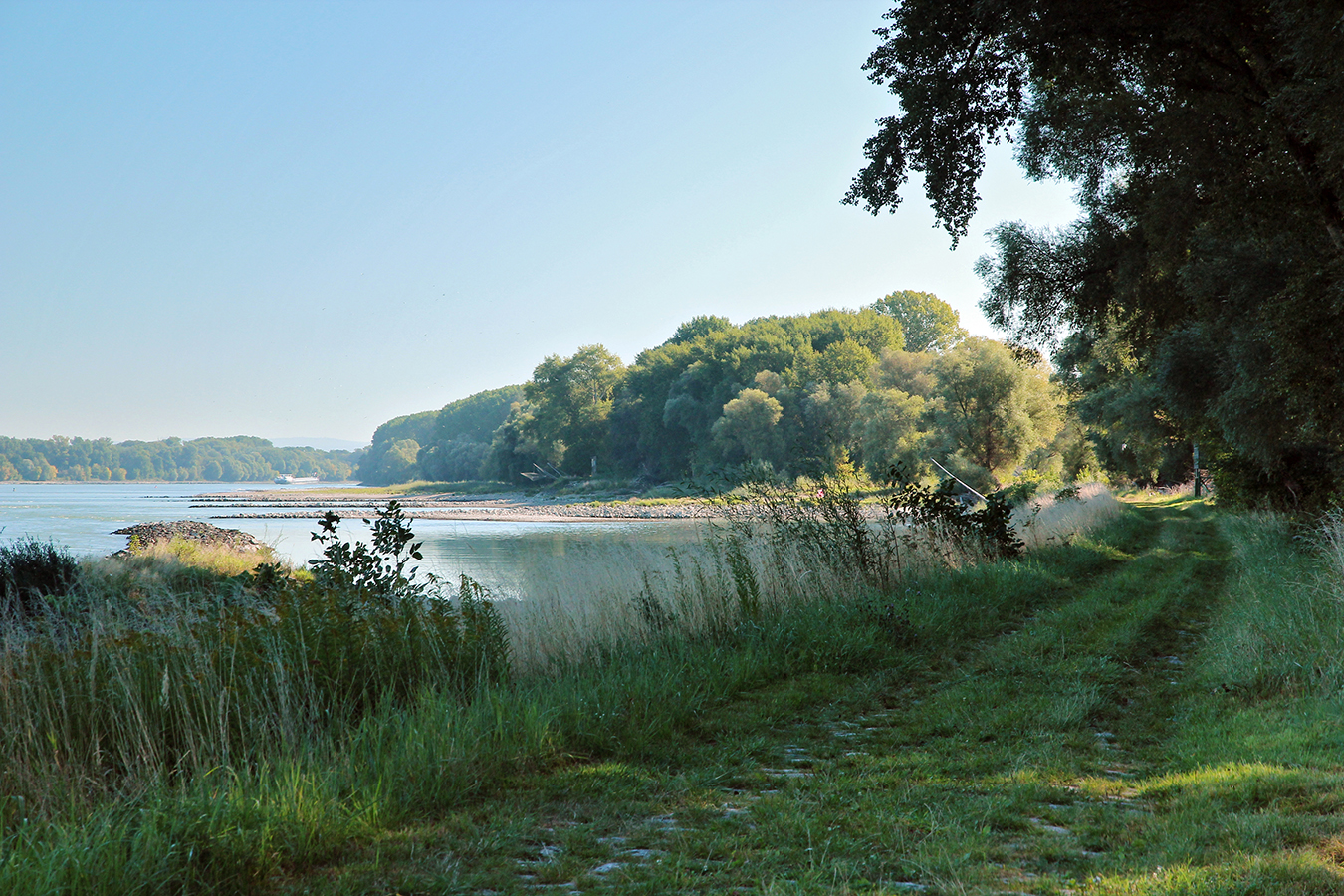 Nationalpark-Donau-Auen-Haslau.jpg