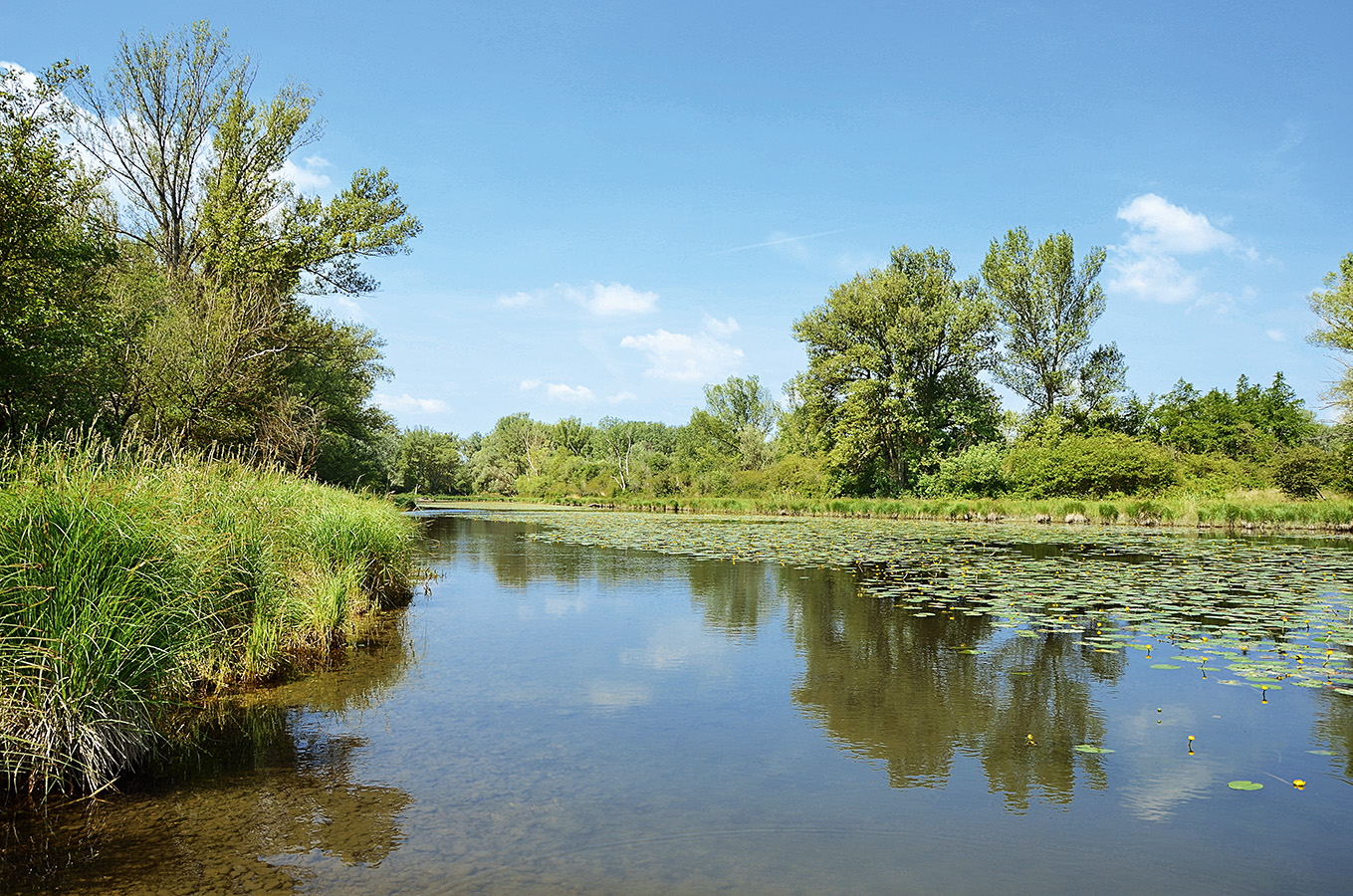 Nationalpark-Donau-Auen-Lobau-1.jpg