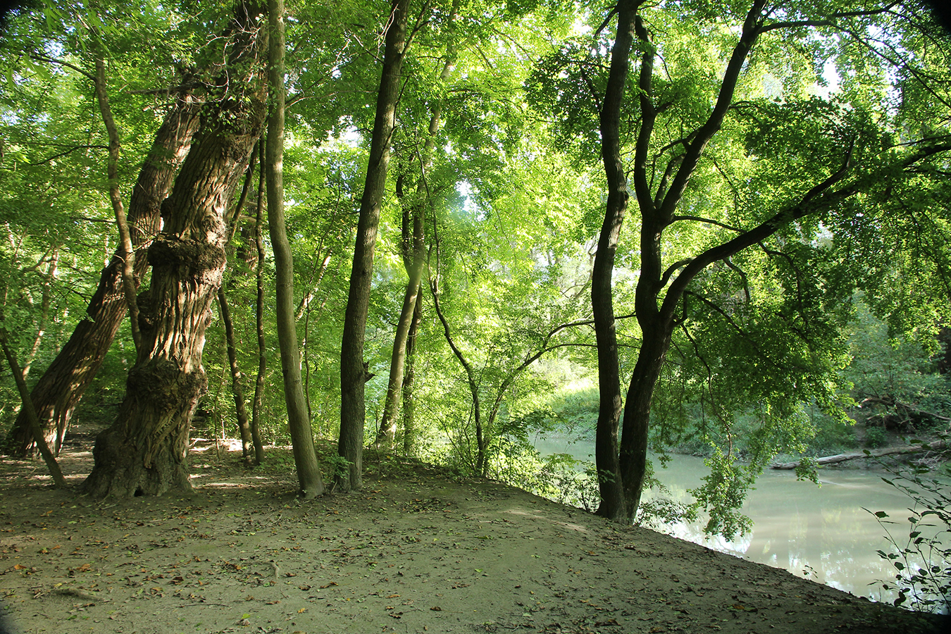 Nationalpark-Donau-Auen-Orth-1.jpg