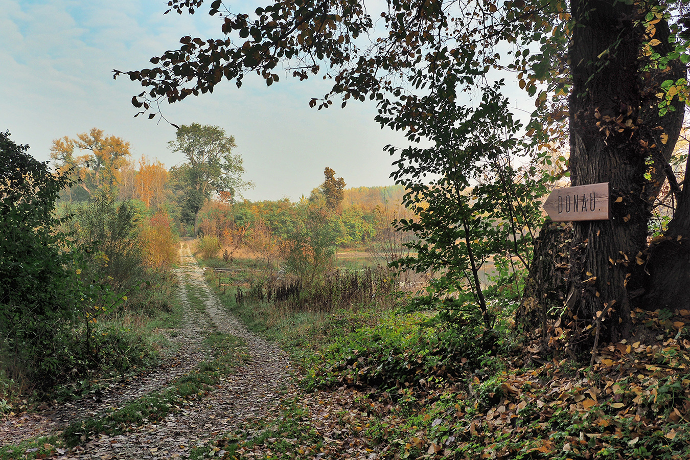 Nationalpark-Donau-Auen-Petronell-1.jpg
