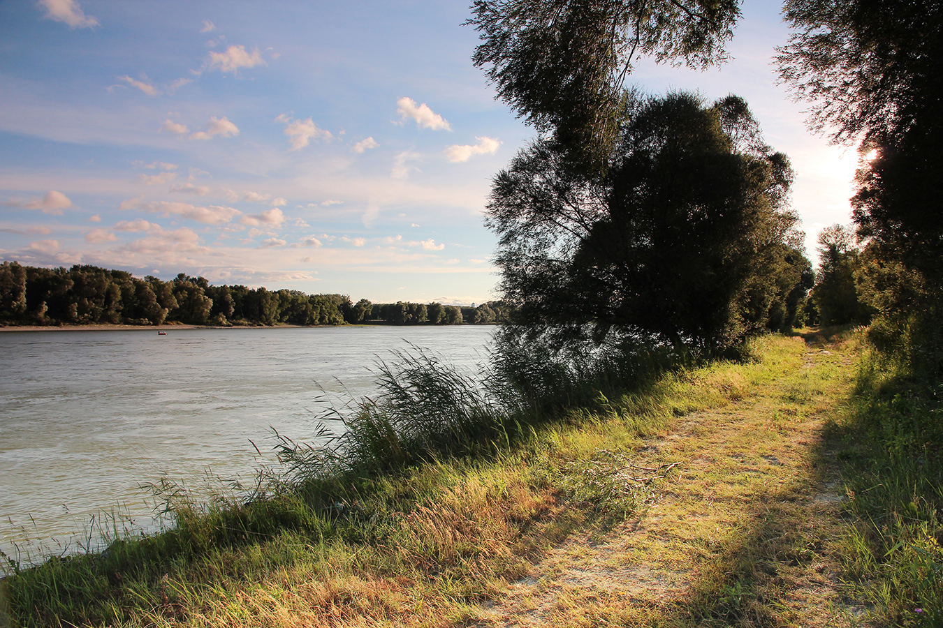 Nationalpark-Donau-Auen-Schoenau-1.jpg