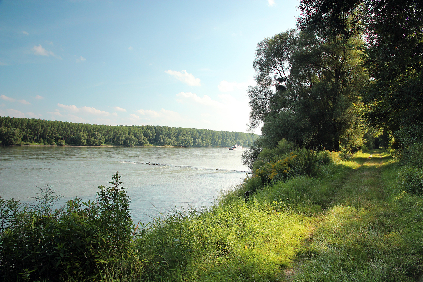 Nationalpark-Donau-Auen-Stopfenreuth-1.jpg