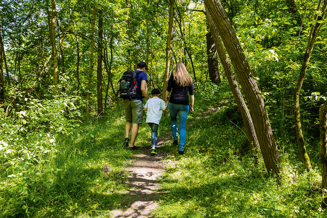 Nationalpark-Donau-Auen-Themenweg-1.jpg