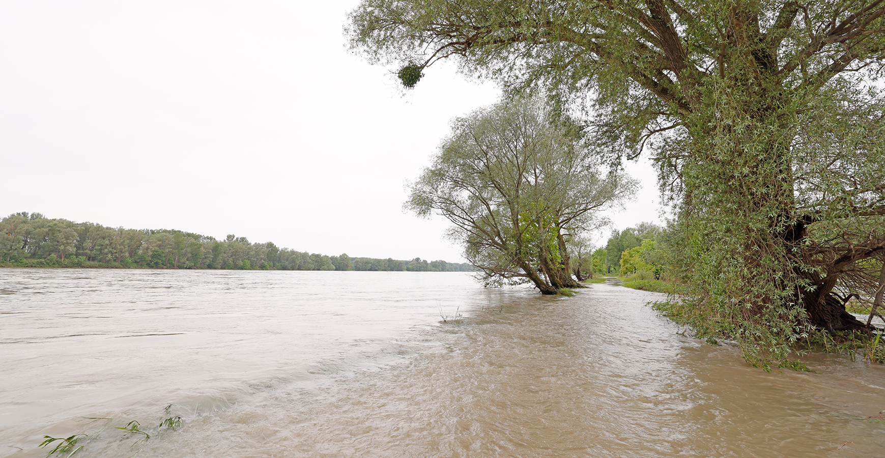 nationalpark-donau-auen-hw23_-(1).jpg