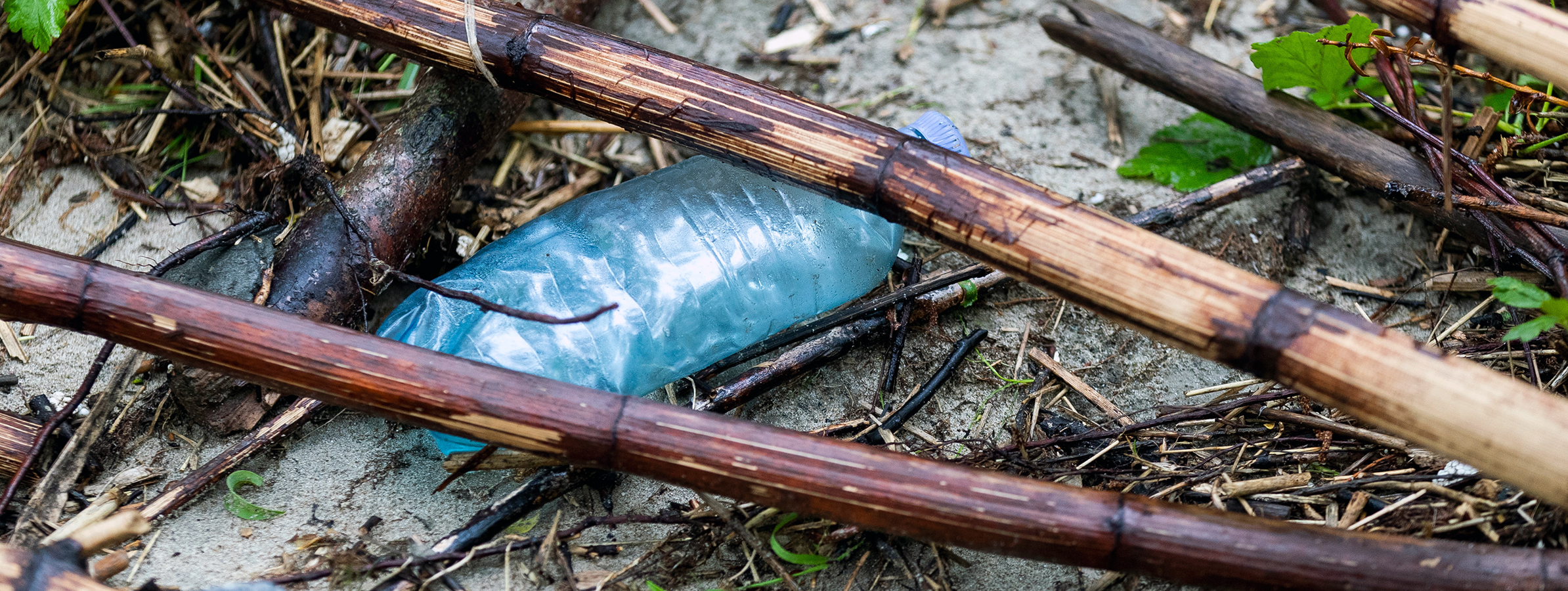 nationalpark-donau-auen-petflasche.jpg