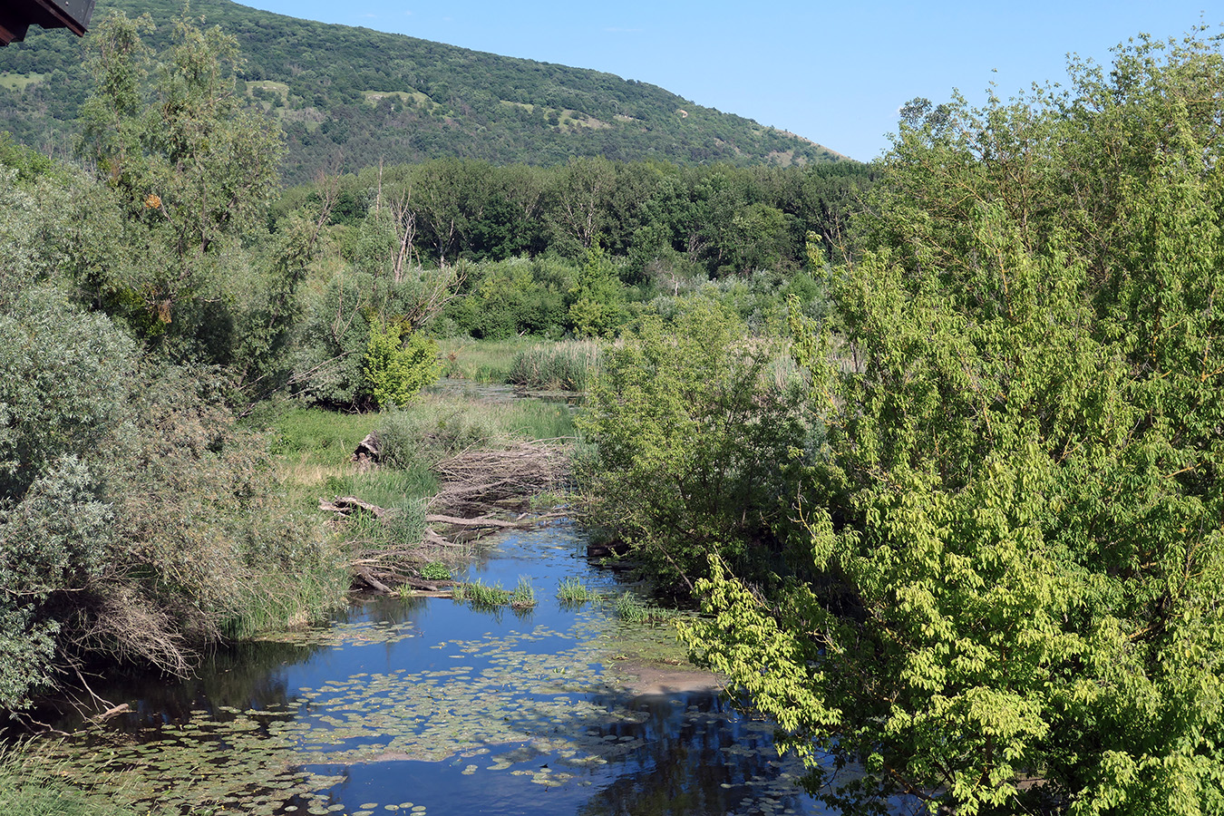 Nationalpark-Donau-Auen-March1.JPG