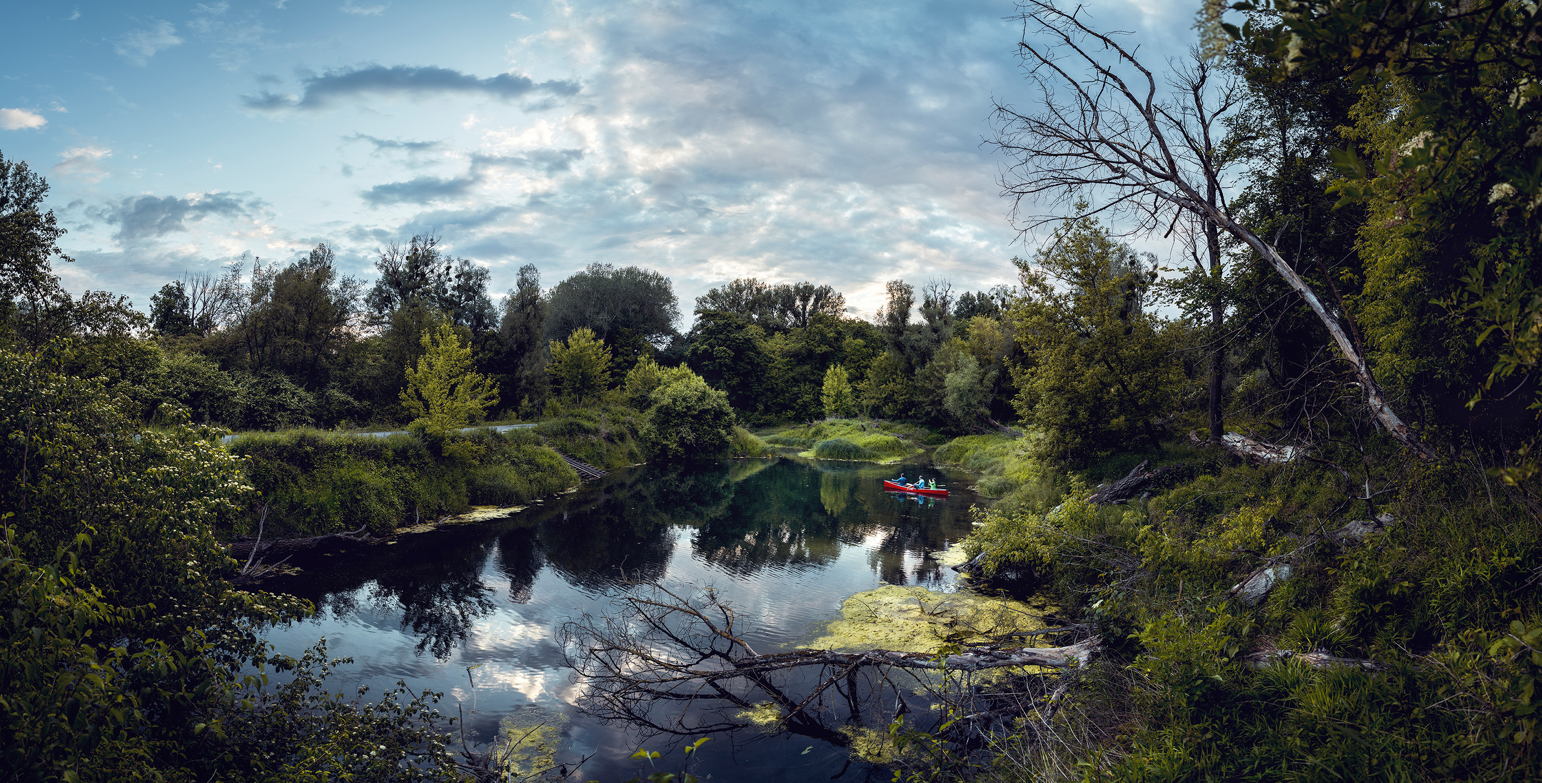 Nationalpark-Donau-Auen-Nationalparks_Austria_Donau_Auen(c)StefanLeitner_002_web.jpg