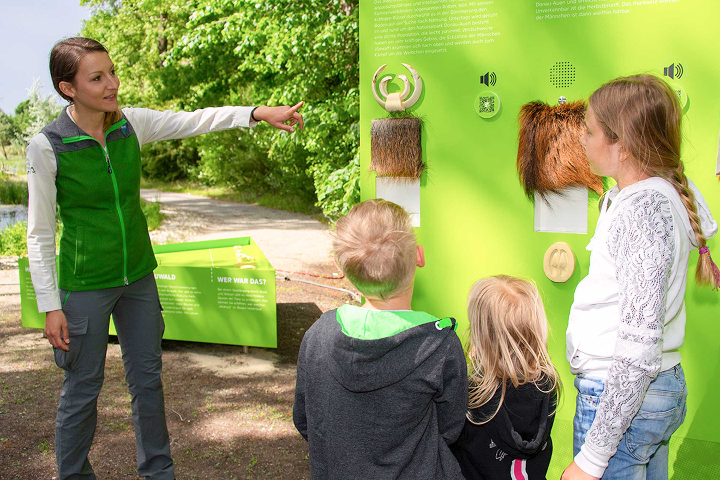 Nationalpark-Donau-Auen-Bildung-w.jpg