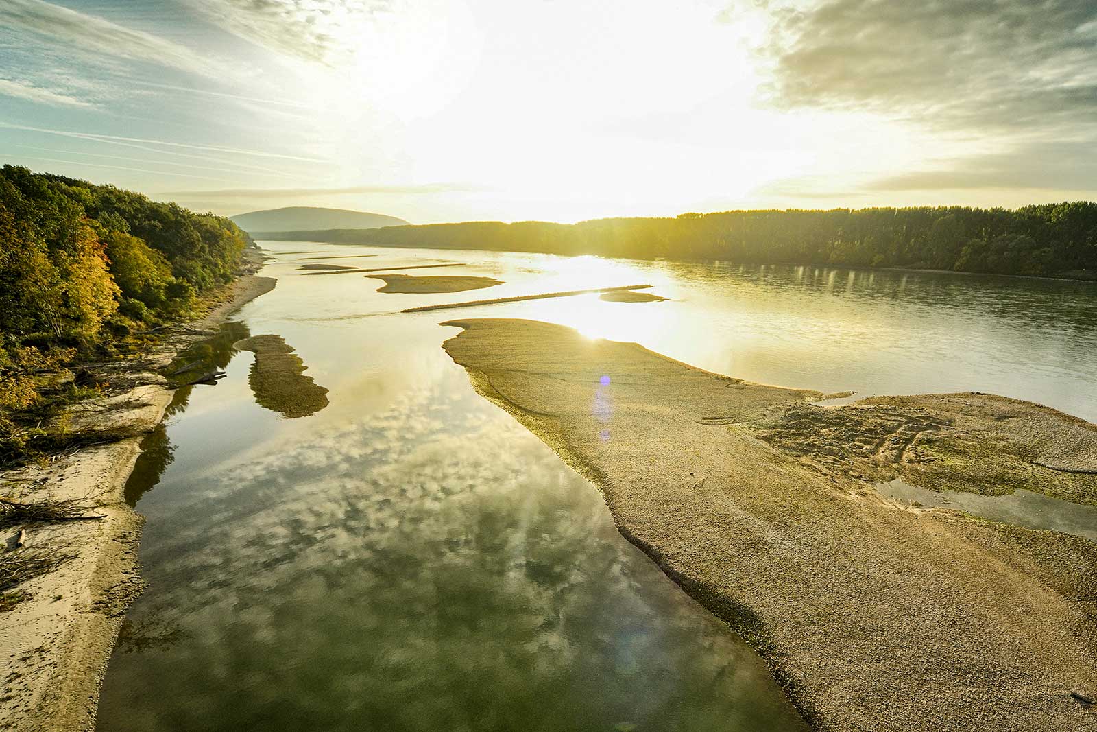 Freier Fluss Wilder Wald Nationalpark Donau Auen