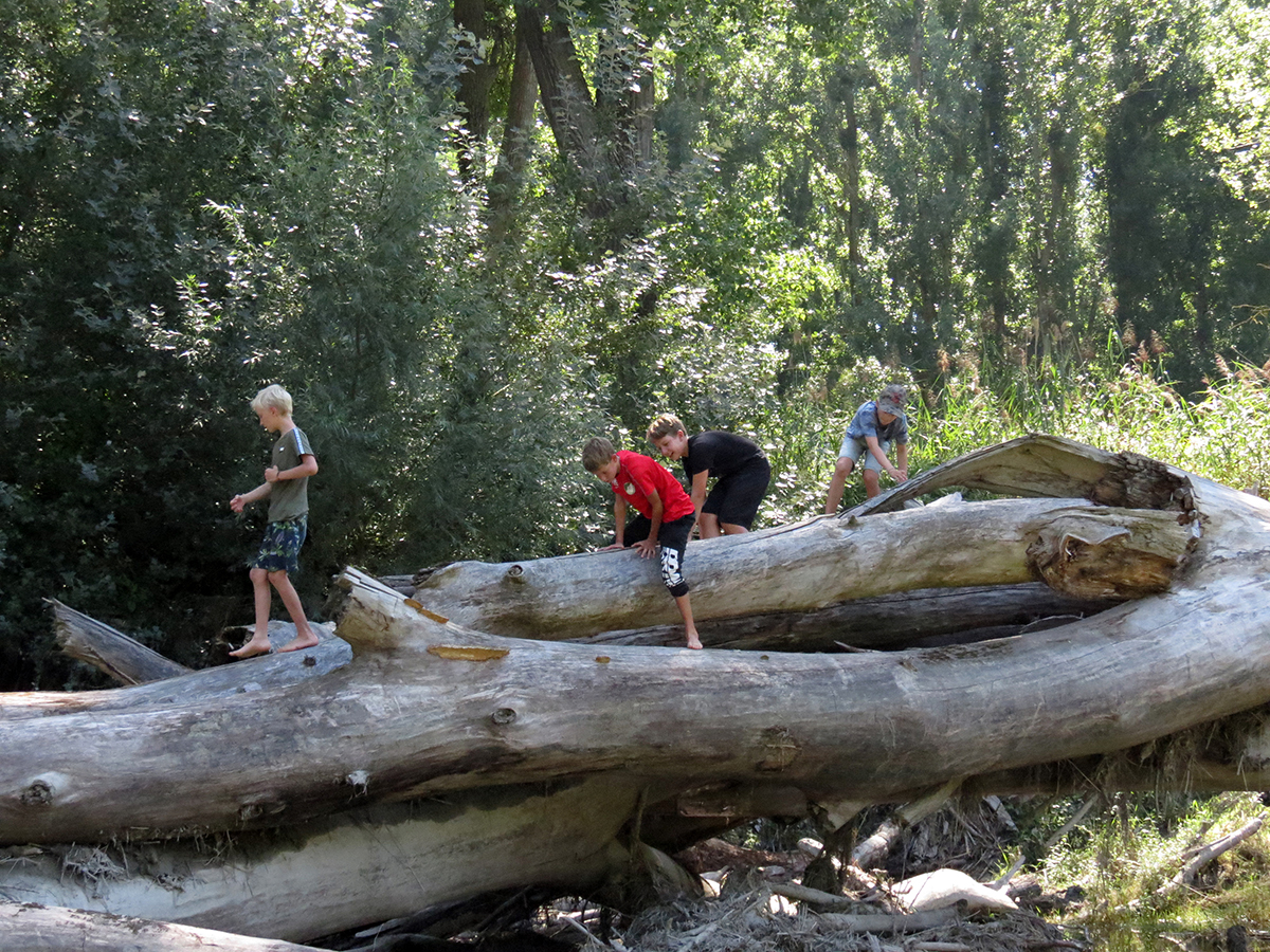 Nationalpark-Donau-Auen-Sommercamp1,-Archiv-NPDA.JPG