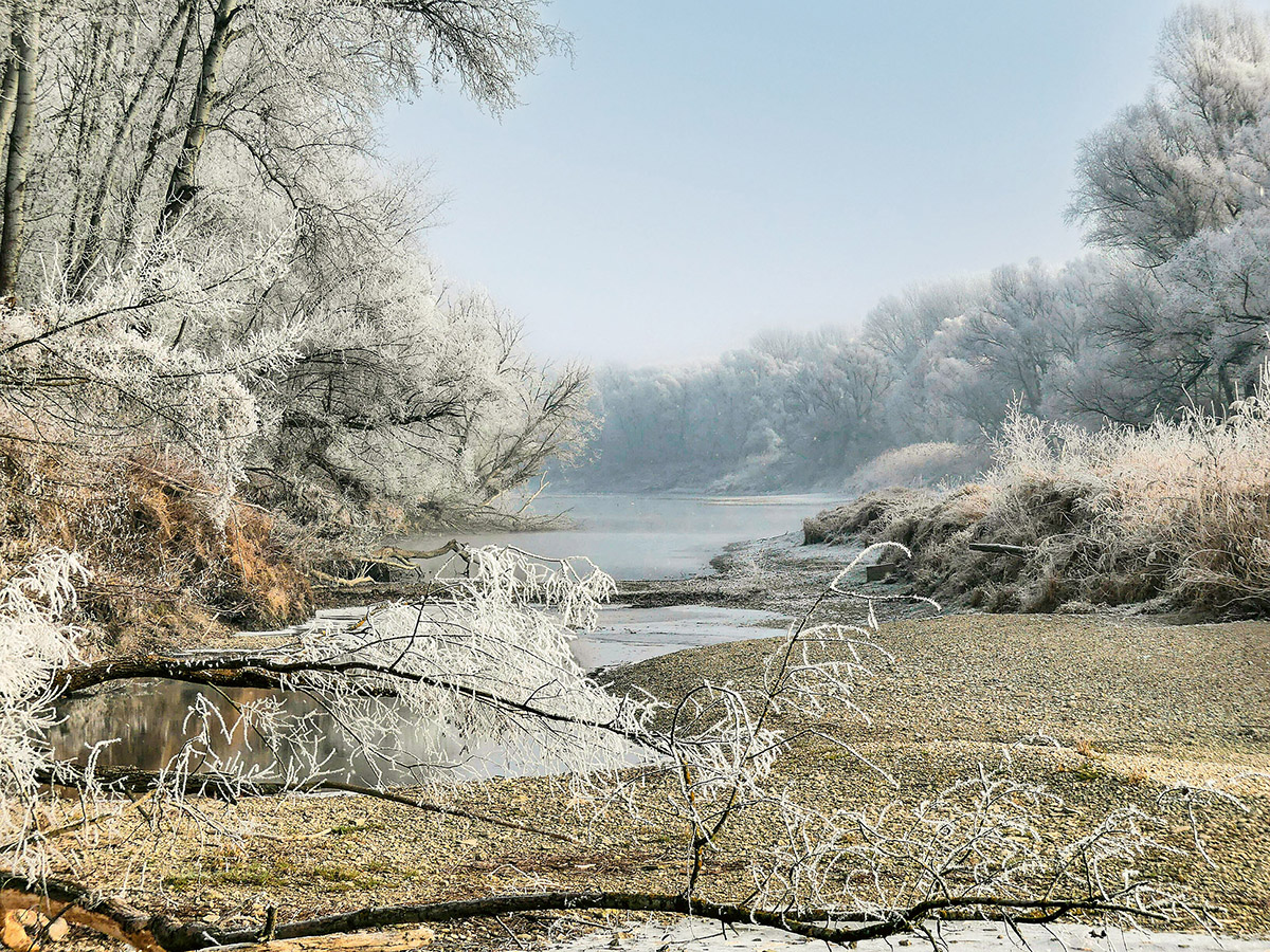 Nationalpark-Donau-Auen-Winterlandschaft2,-Pavek.jpg