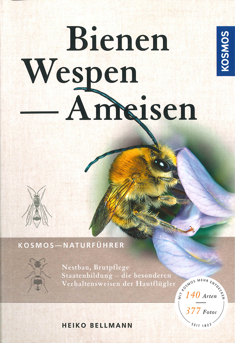 Nationalpark-Donau-Auen-Bienen,-Wespen,-Ameisen_bearbeitet.jpg