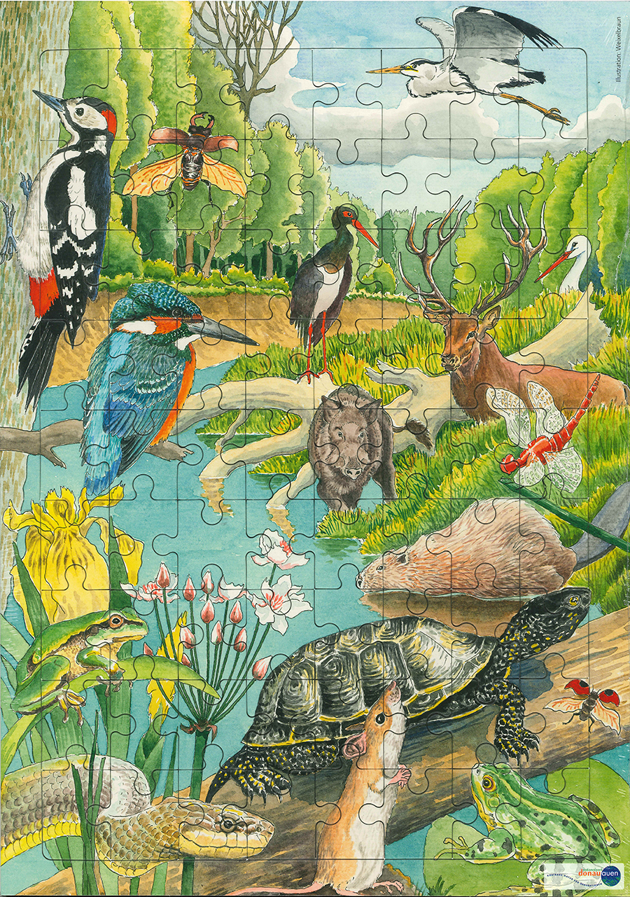 Nationalpark-Donau-Auen-Donauauen-Puzzle_1.jpg