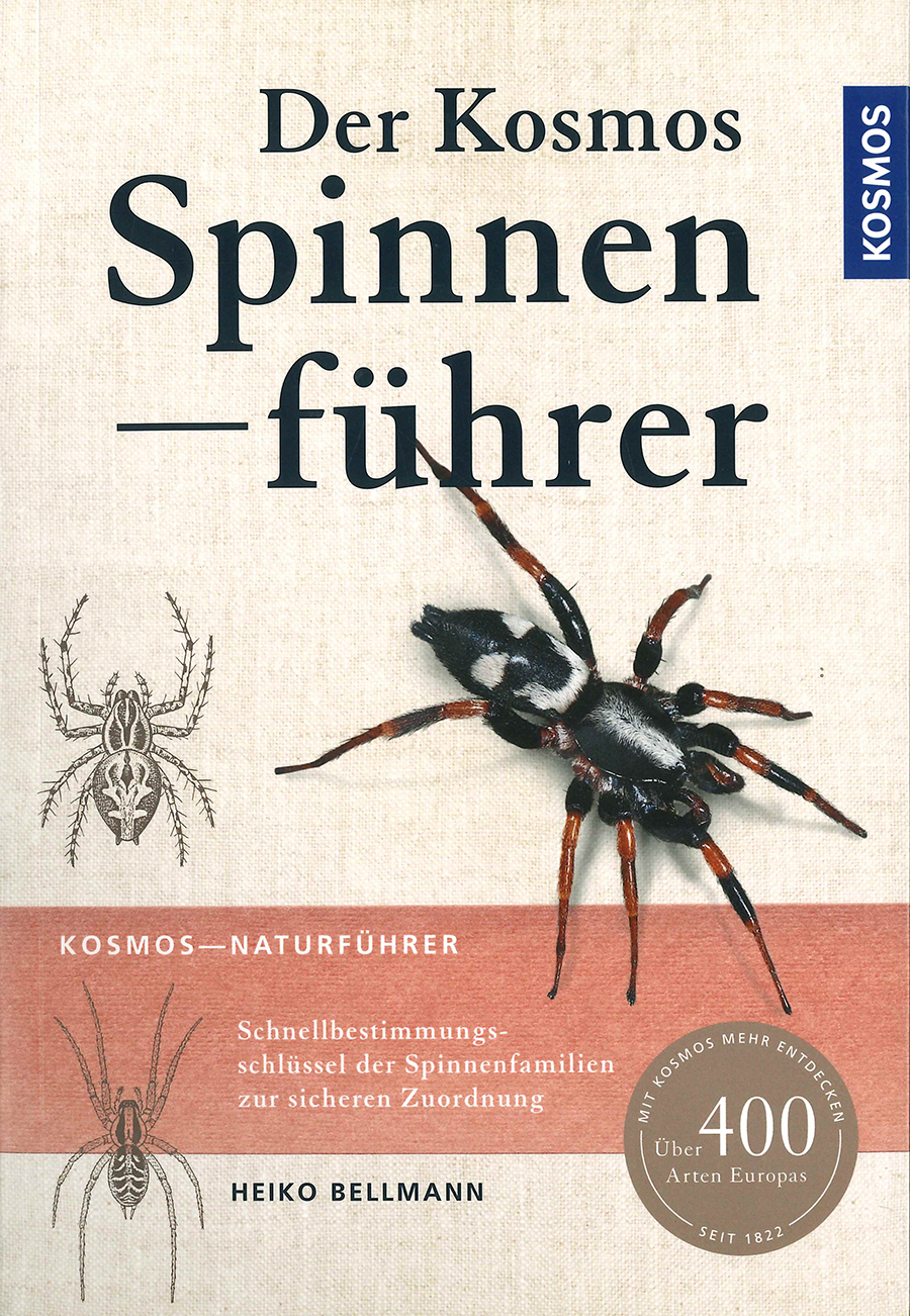 Nationalpark-Donau-Auen-Spinnenfuhrer_barbeitet.jpg