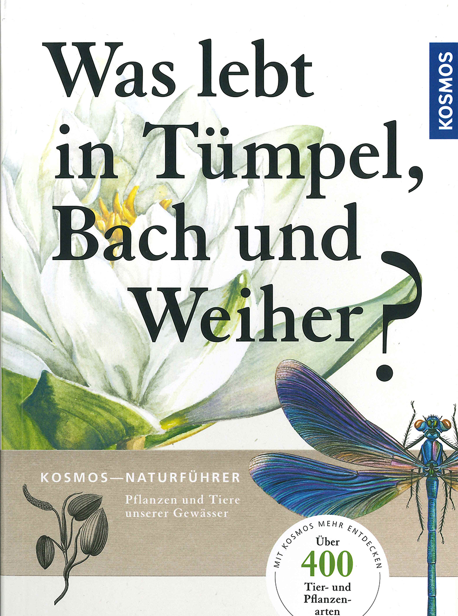 Nationalpark-Donau-Auen-Tumpel,-Bach-und-Weiher_bearbeitet.jpg