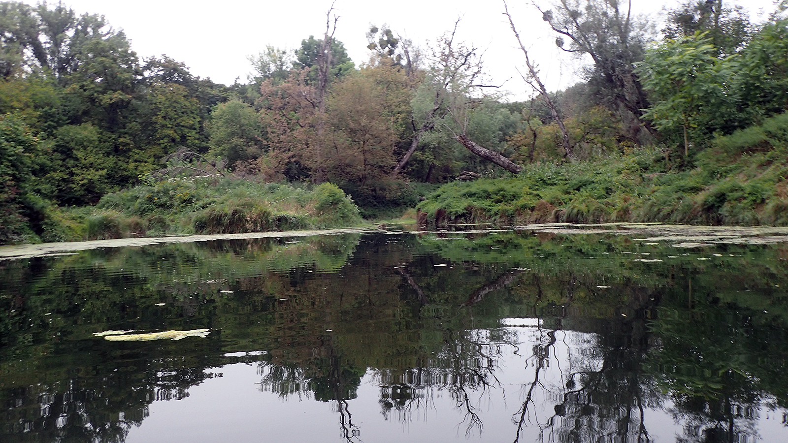 nationalpark-donau-auen-keler2.jpg