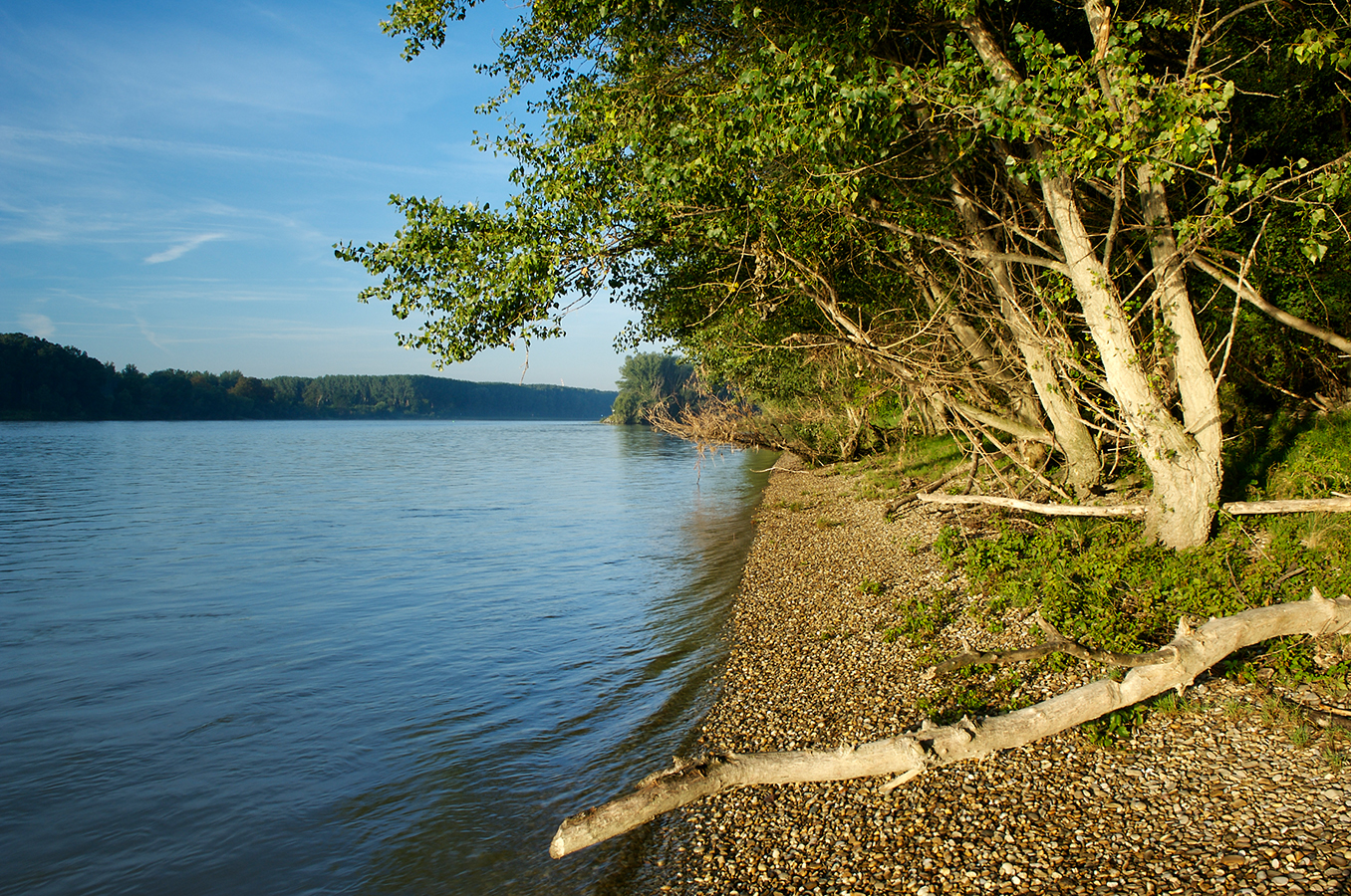 Nationalpark-Donau-Auen-Donau-4.jpg