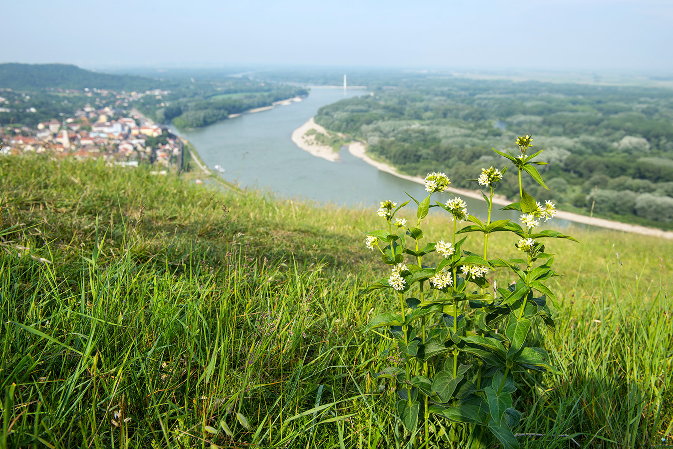 Nationalpark-Donau-Auen-GeschichteHeute3.jpg
