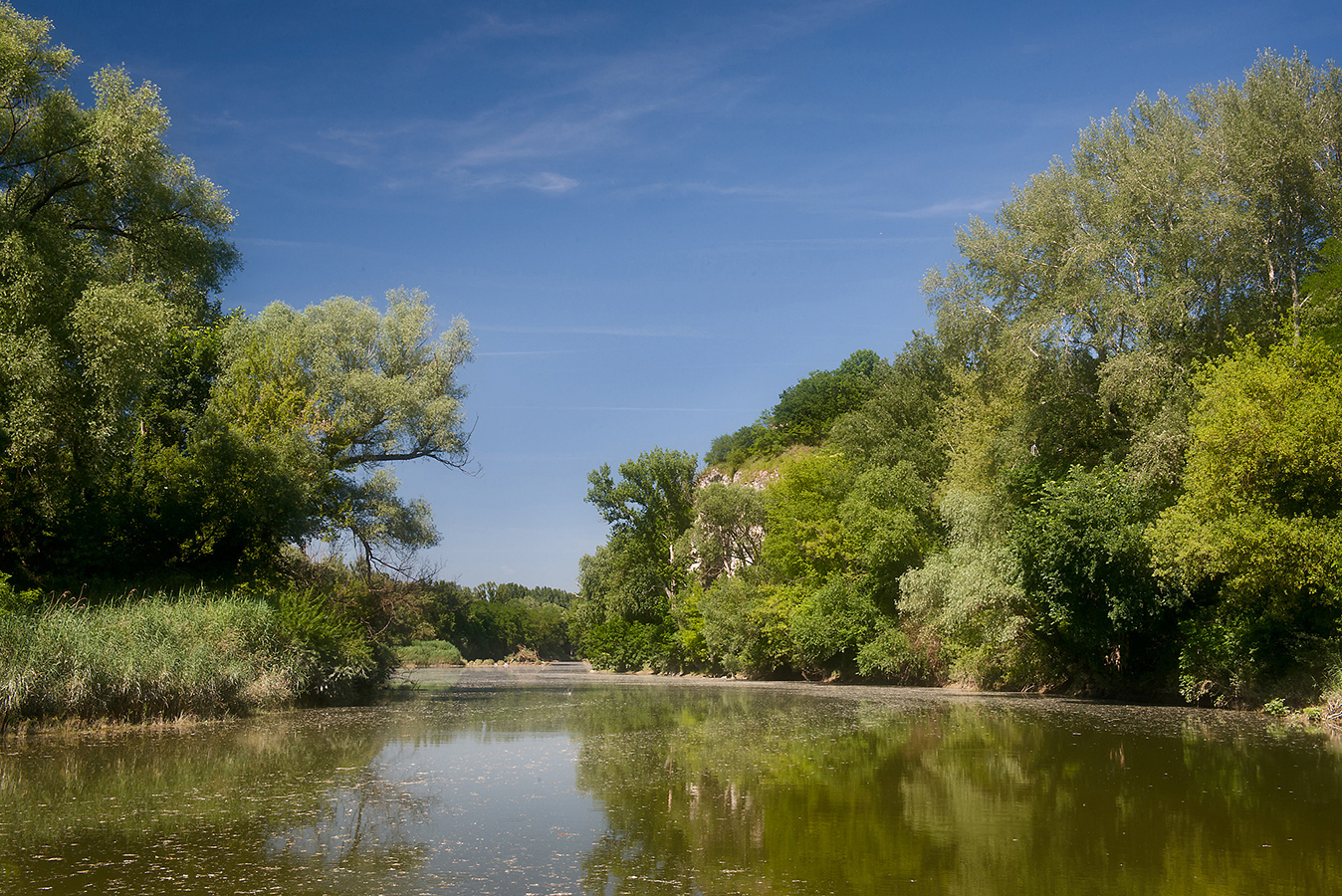 Nationalpark-Donau-Auen-Lebensraum4.jpg