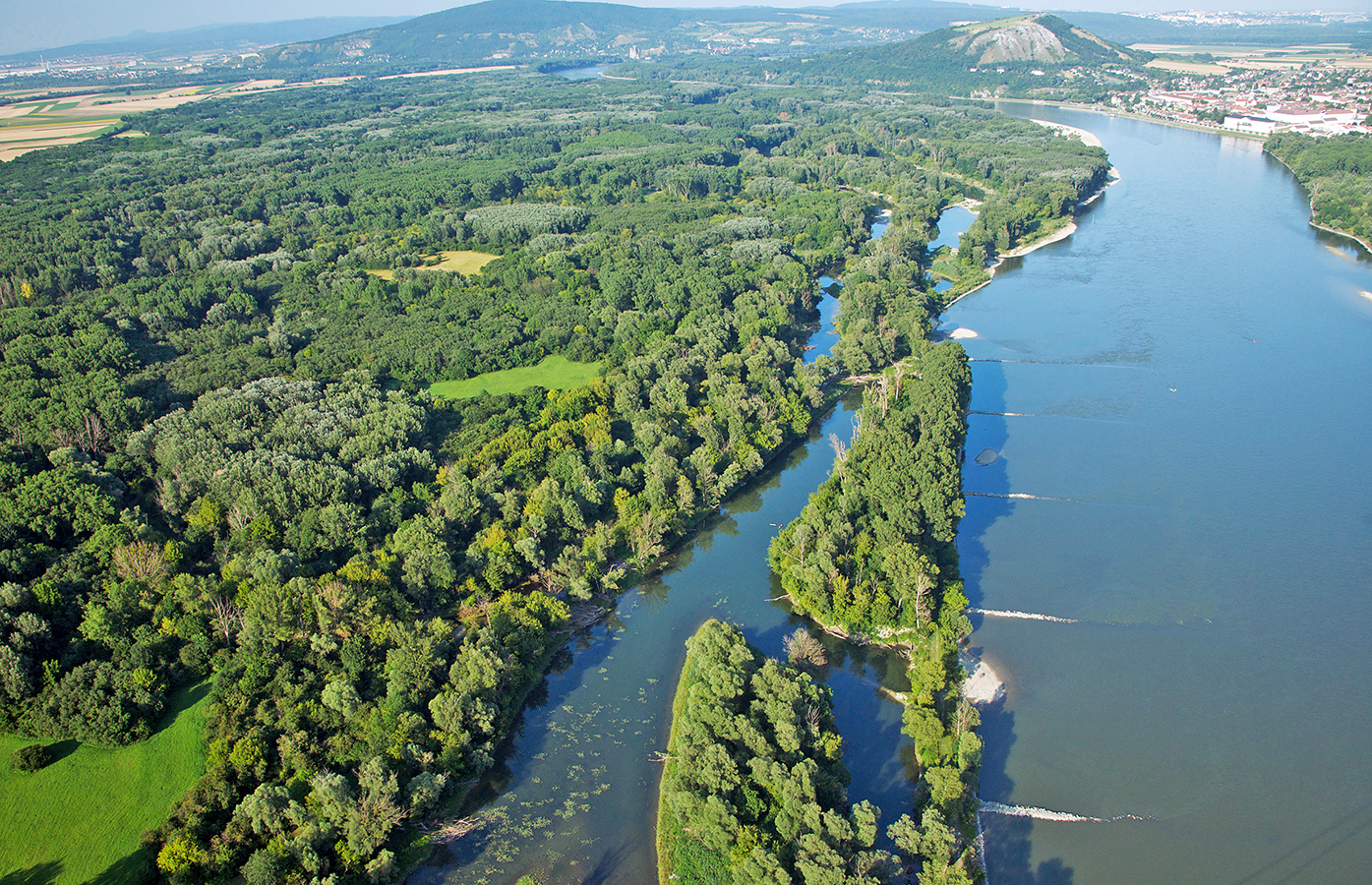 Nationalpark-Donau-Auen-ZDF-5.jpg