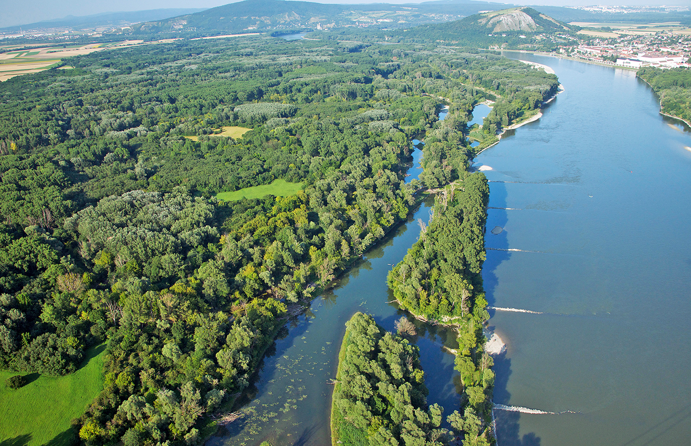 Zahlen, Daten, Fakten | Nationalpark Donau-Auen