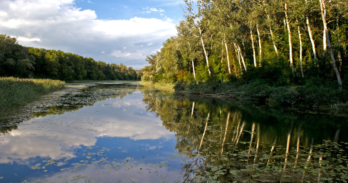 Nationalpark Donau-Auen logo