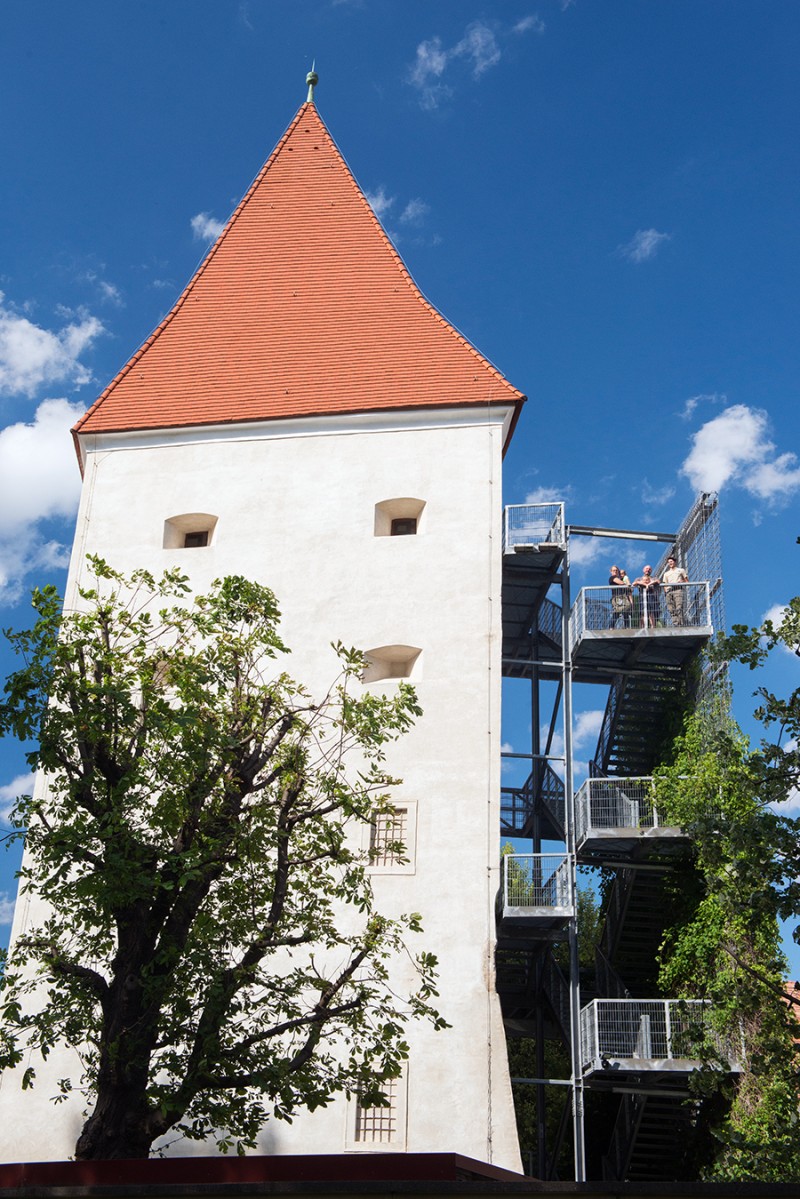 Nationalpark-Donau-Auen-Schloss_Turm.jpg
