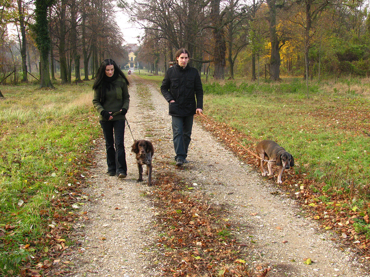 Nationalpark-Donau-Auen-Regeln_Hund.jpg
