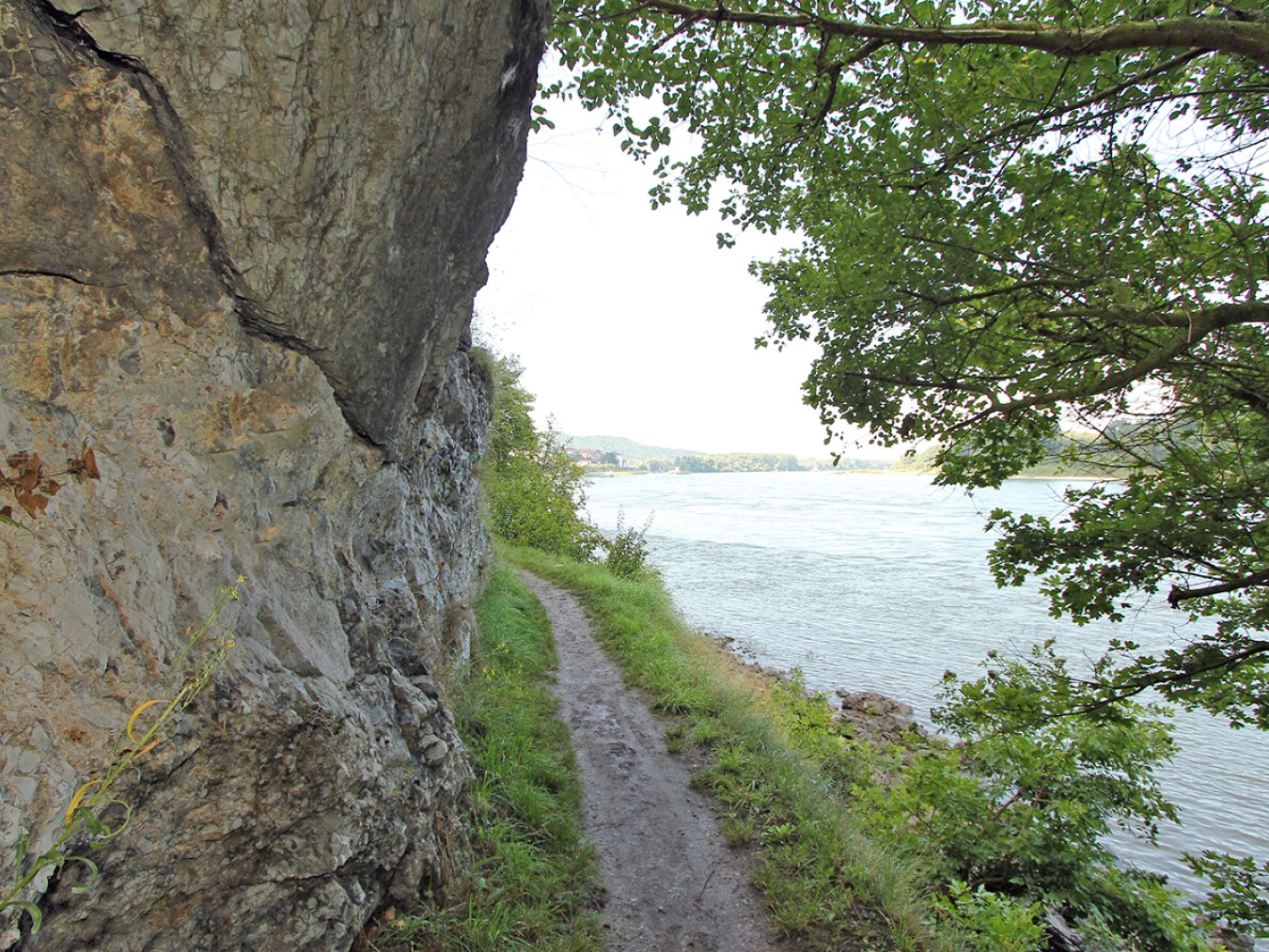 Nationalpark-Donau-Auen-Hainburg-1.jpg