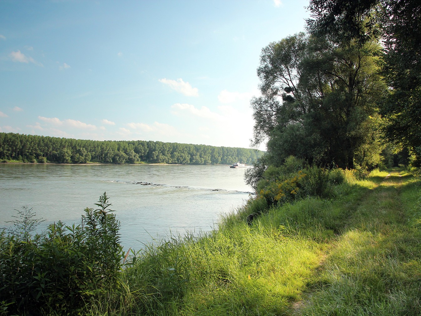 Nationalpark-Donau-Auen-Stopfenreuth-1.jpg