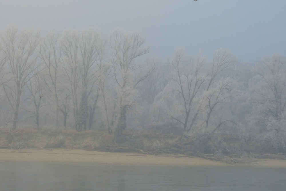/assets/blog/grau/Nationalpark-Donau-Auen-41469-41-Stimmungen-Winterlandschaft,Polz.JPG