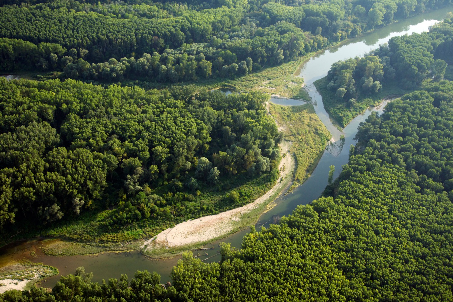 Aulandschaft mit Wald und Gewässer, Luftbild